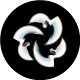 Bloom logo